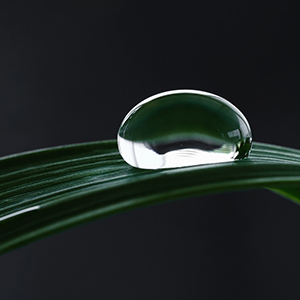 水珠