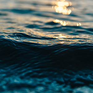 海水