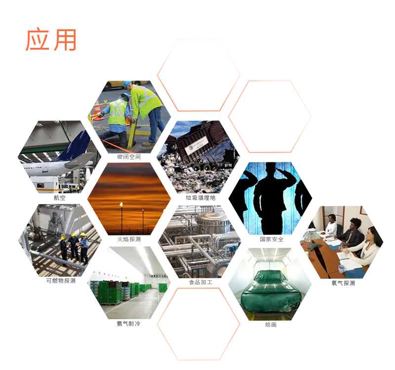 氣體報(bào)警探測(cè)儀