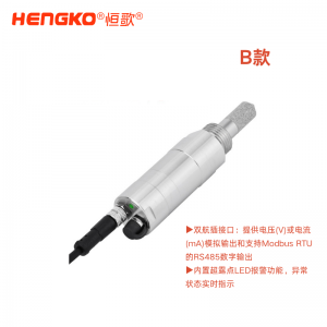 HG602-D工業(yè)露點(diǎn)變送器_在線露點(diǎn)測(cè)量儀