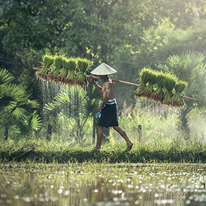 farmer-1822530_1920-1