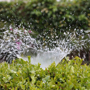 irrigation-2402568_1920