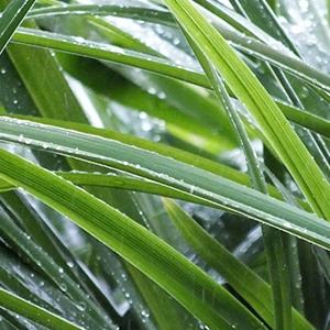 清明時節(jié)雨紛紛？不防潮真的會斷魂!